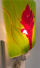 Load image into Gallery viewer, Jameson Glass Design Nightlight Series: Tropical Flower 2 $50
