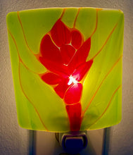 Load image into Gallery viewer, Jameson Glass Design Nightlight Series: Tropical Flower 2 $50
