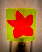 Load image into Gallery viewer, Jameson Glass Design Nightlight Series: Tropical Flower
