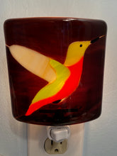 Load image into Gallery viewer, The Jameson Glass Nightlight Series: Hummingbird
